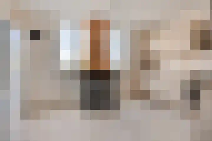 Soesterberghof 76 Amsterdam thumbnail 9
