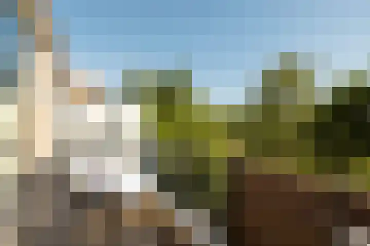Soesterberghof 79 Amsterdam thumbnail 25