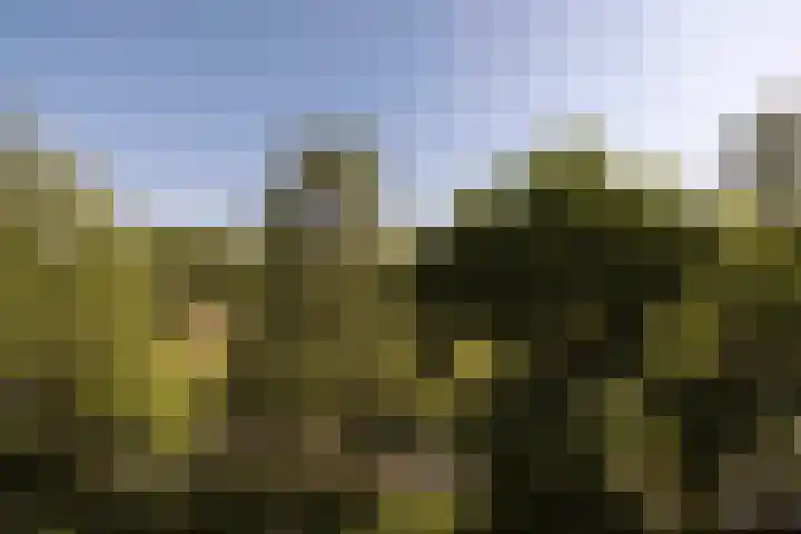 Soesterberghof 79 Amsterdam thumbnail 27