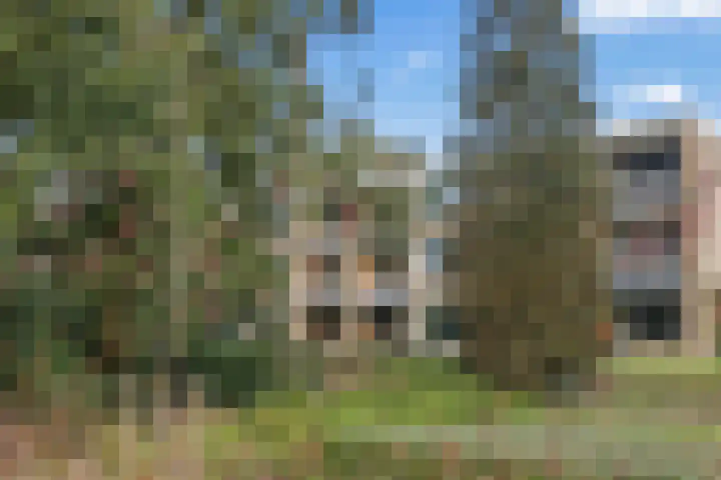 Soesterbergsestraat 111 114 Soest thumbnail 53