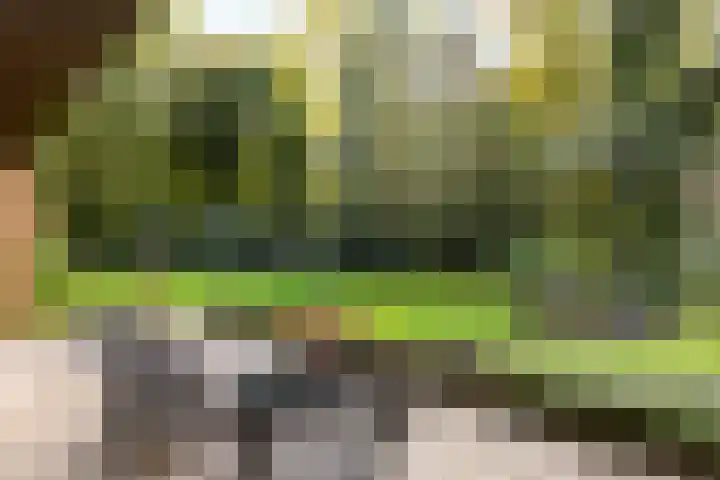 Soesterbergsestraat 130 Soest thumbnail 8