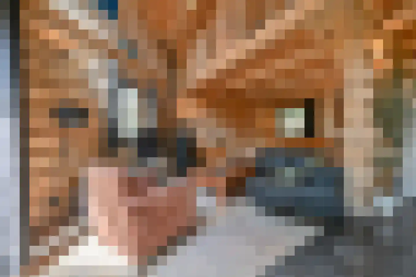 Soesterbergsestraat 133 B 17 Soest thumbnail 11
