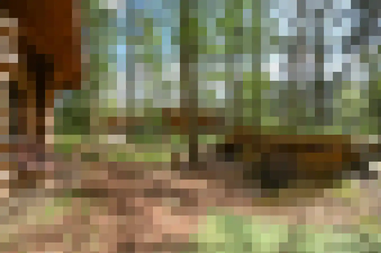 Soesterbergsestraat 133 B 17 Soest thumbnail 27