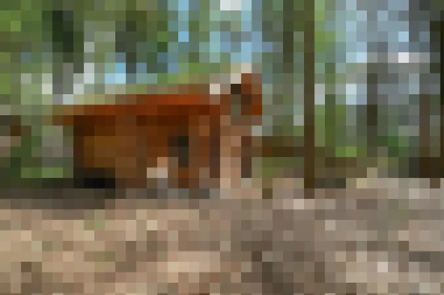 Soesterbergsestraat 133 B 17 Soest thumbnail 4