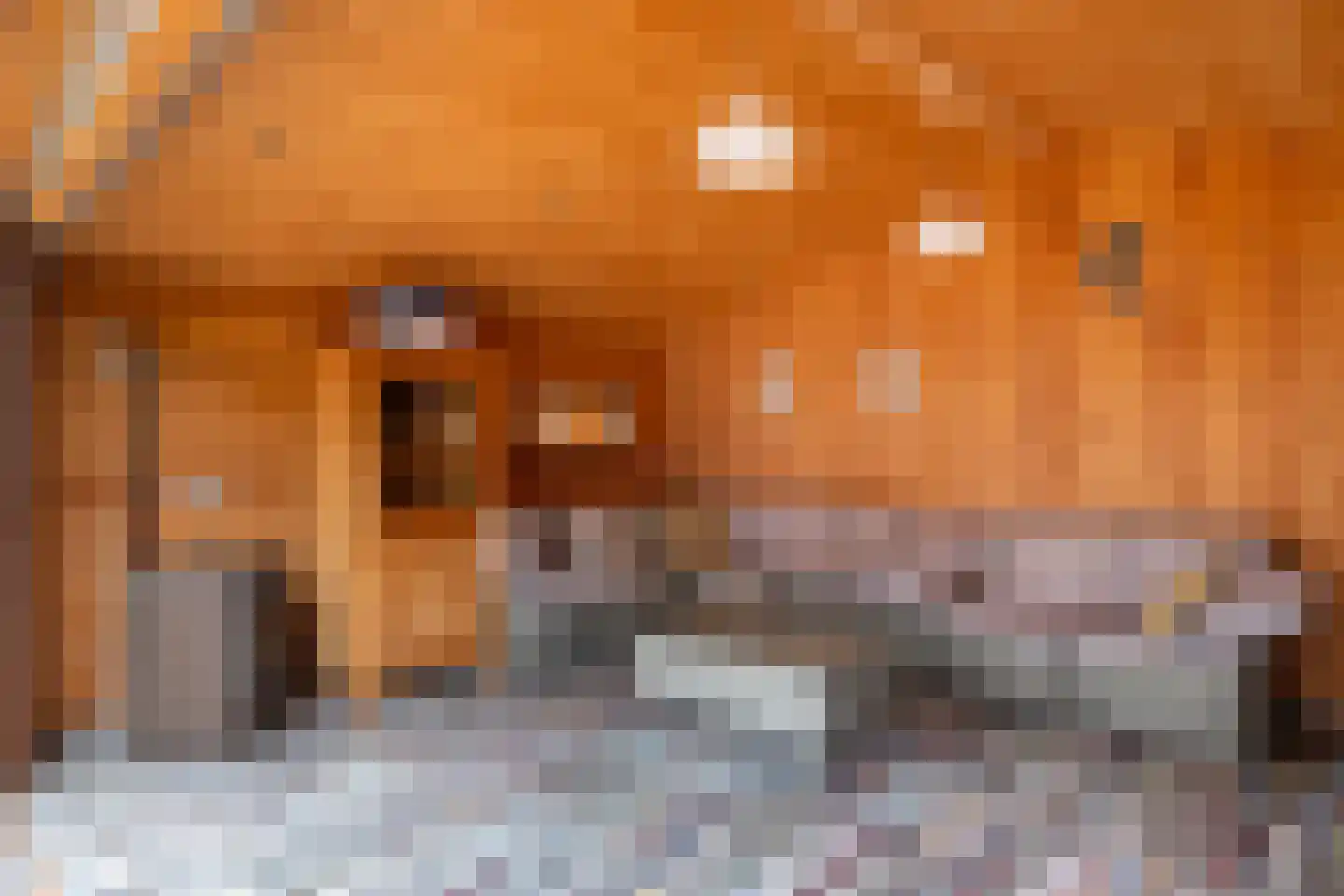 Soesterbergsestraat 15 Soest thumbnail 11