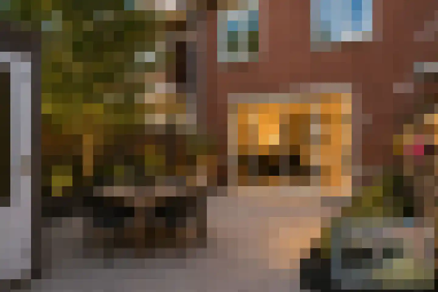 Soesterbergstraat 111 Den Haag thumbnail 35