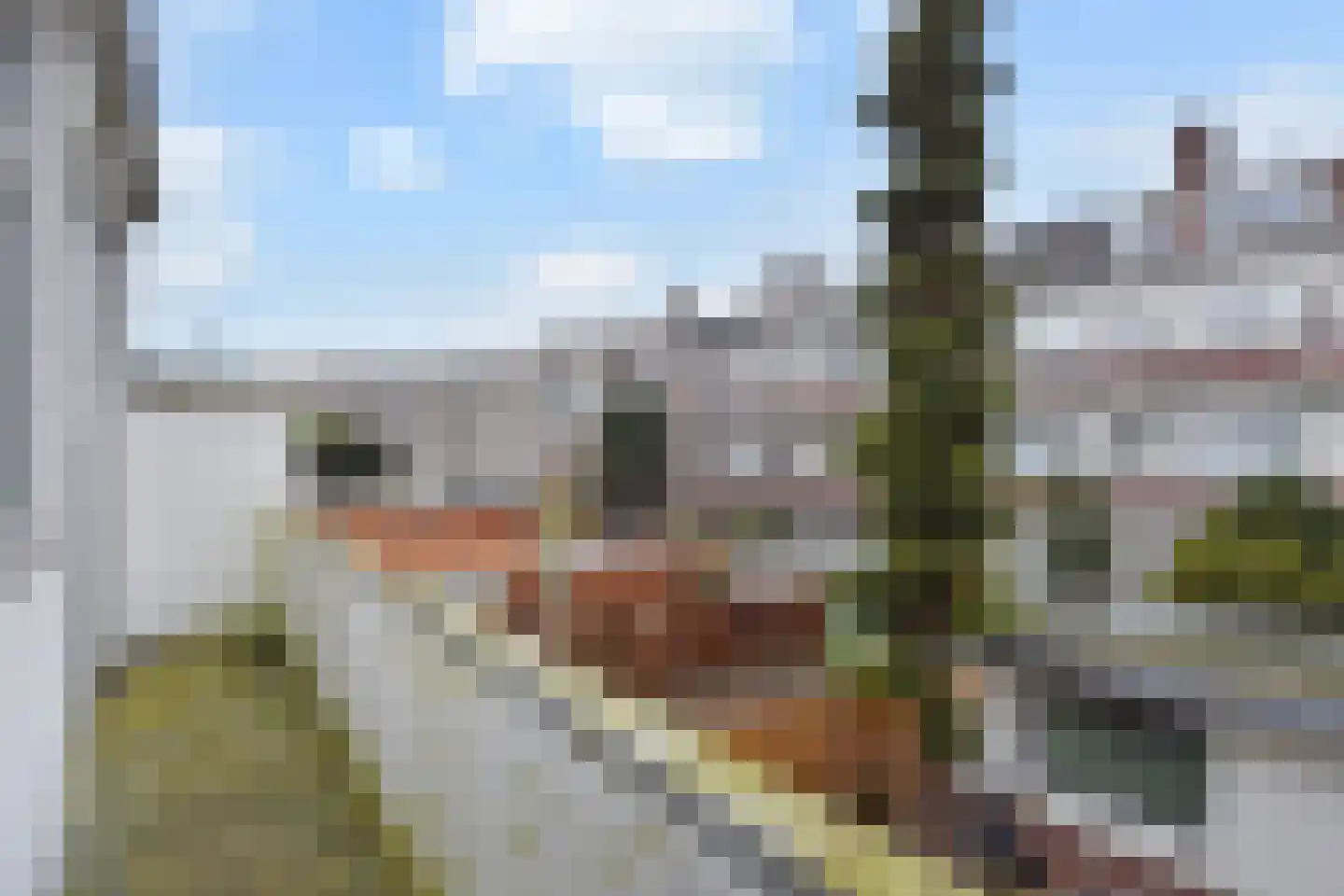 Soesterbergstraat 44 Den Haag thumbnail 10