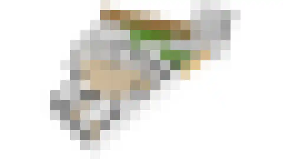 Soesterveen 27 Vleuten thumbnail 46
