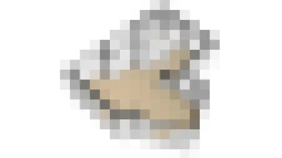 Soesterveen 27 Vleuten thumbnail 48
