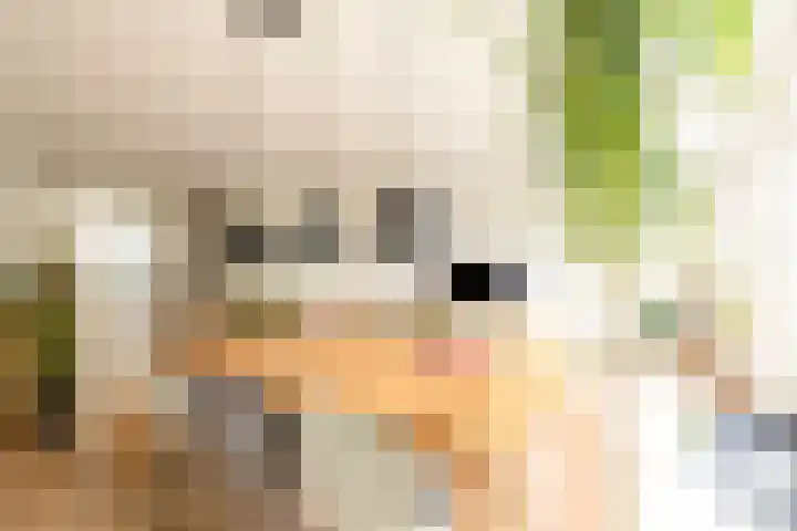 Soesterveen 77 Vleuten thumbnail 14