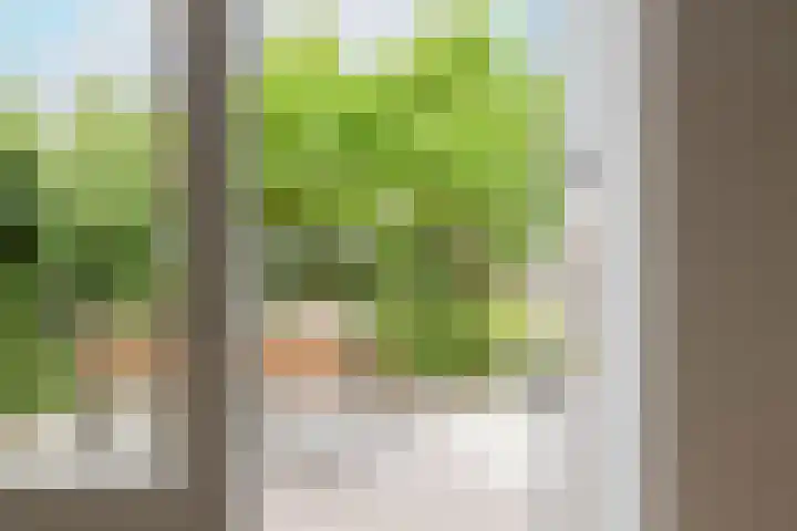 Soesterveen 77 Vleuten thumbnail 21