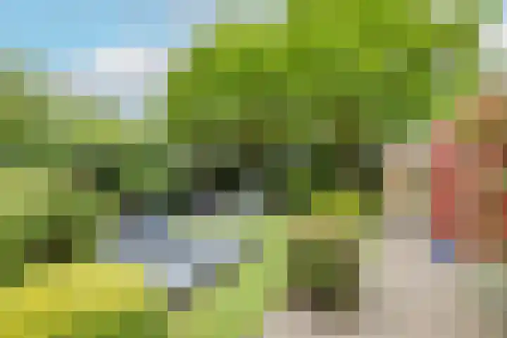 Soesterveen 77 Vleuten thumbnail 23