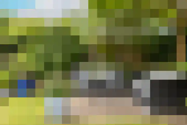 Soesterveen 77 Vleuten thumbnail 24
