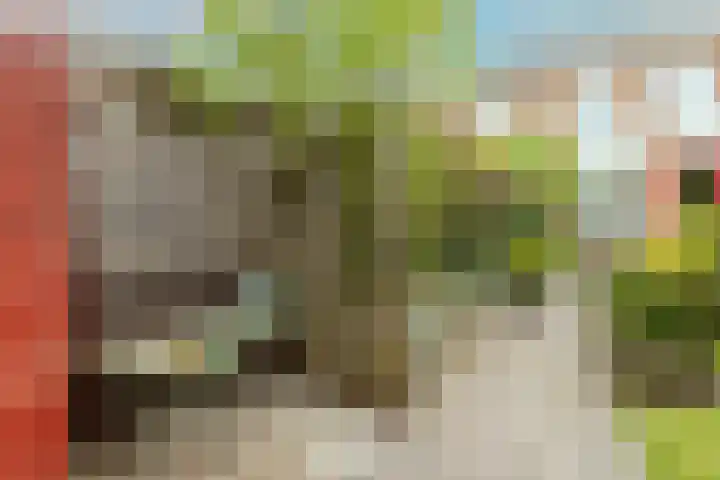 Soesterveen 77 Vleuten thumbnail 25