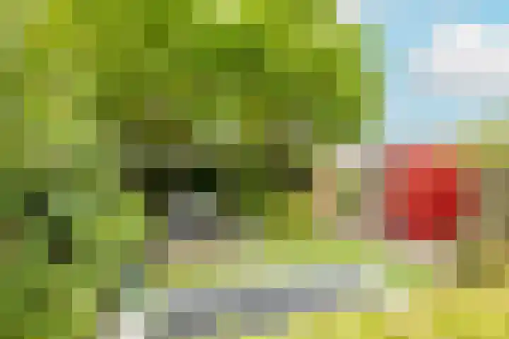 Soesterveen 77 Vleuten thumbnail 26