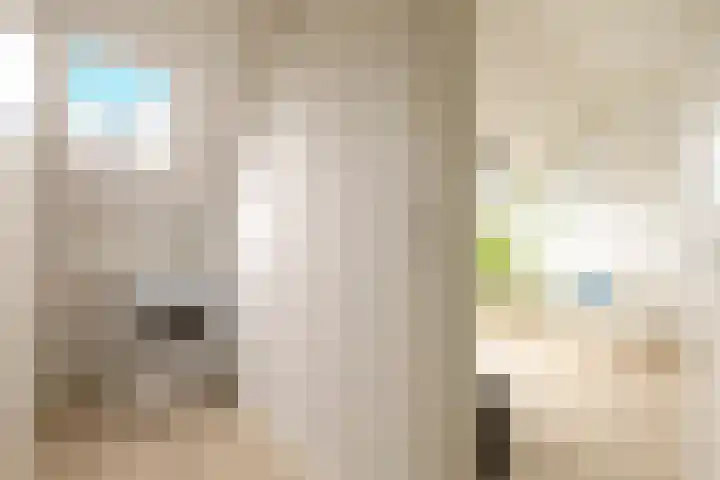 Soesterveen 77 Vleuten thumbnail 37