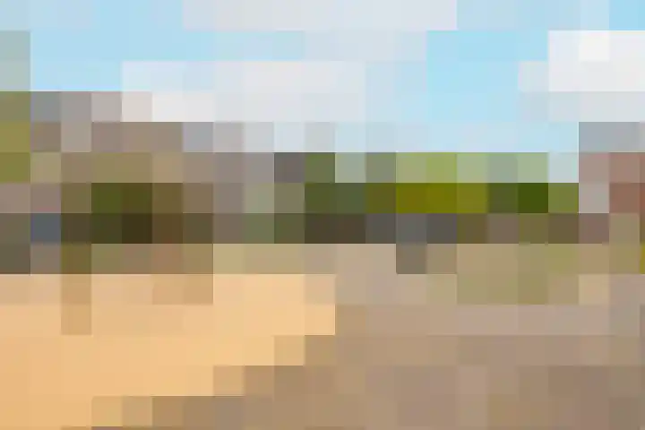 Soesterveen 77 Vleuten thumbnail 43