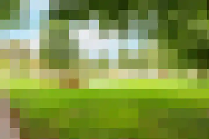 Soesterveen 77 Vleuten thumbnail 45