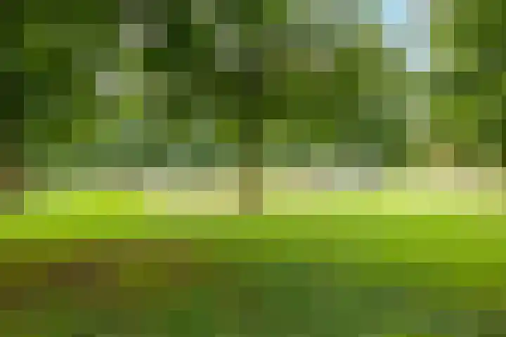 Soesterveen 77 Vleuten thumbnail 46