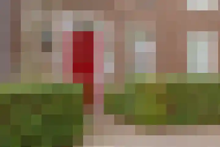 Soesterveen 77 Vleuten thumbnail 6