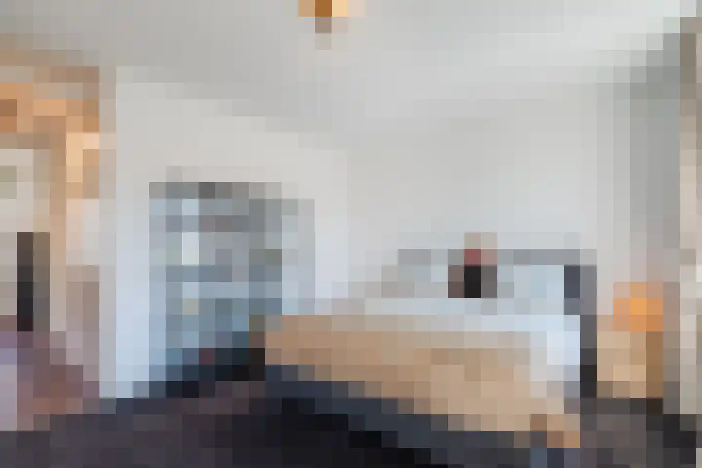 Soesterveen 89 Vleuten thumbnail 31