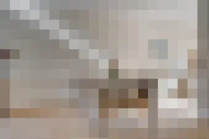 Soesterveste 29 Nieuwegein thumbnail 16
