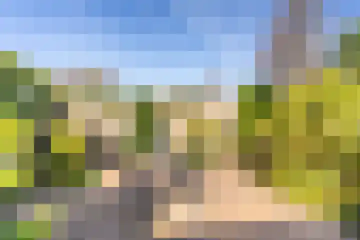 Soesterveste 29 Nieuwegein thumbnail 22