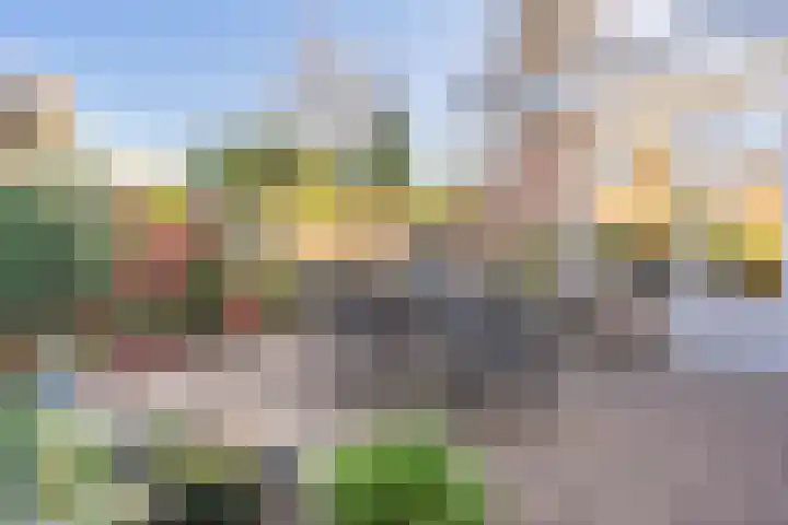 Soesterveste 29 Nieuwegein thumbnail 23