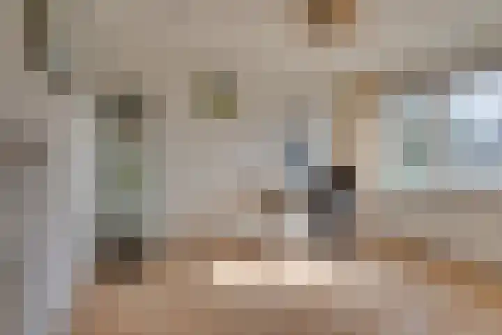 Soesterveste 29 Nieuwegein thumbnail 28