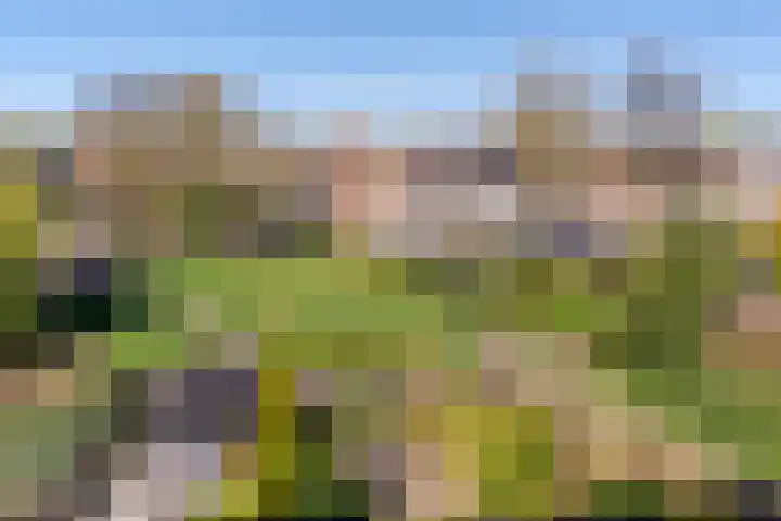 Soesterveste 29 Nieuwegein thumbnail 34