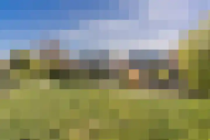 Soesterveste 29 Nieuwegein thumbnail 4