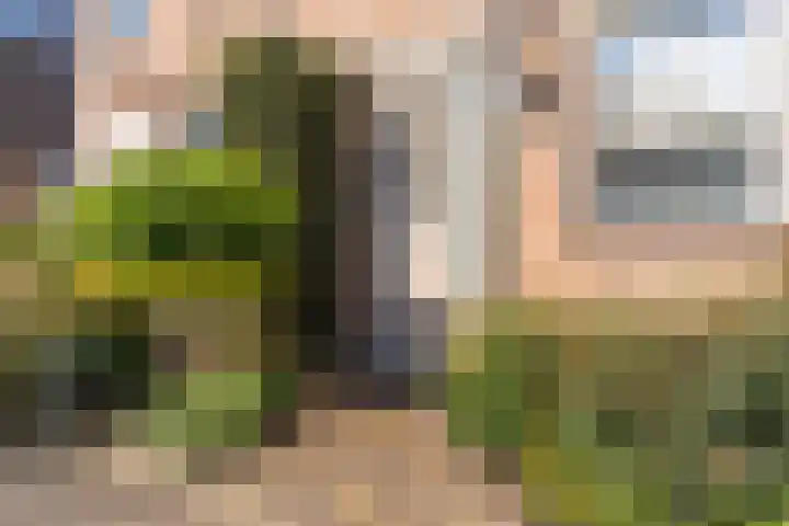 Soesterveste 29 Nieuwegein thumbnail 8