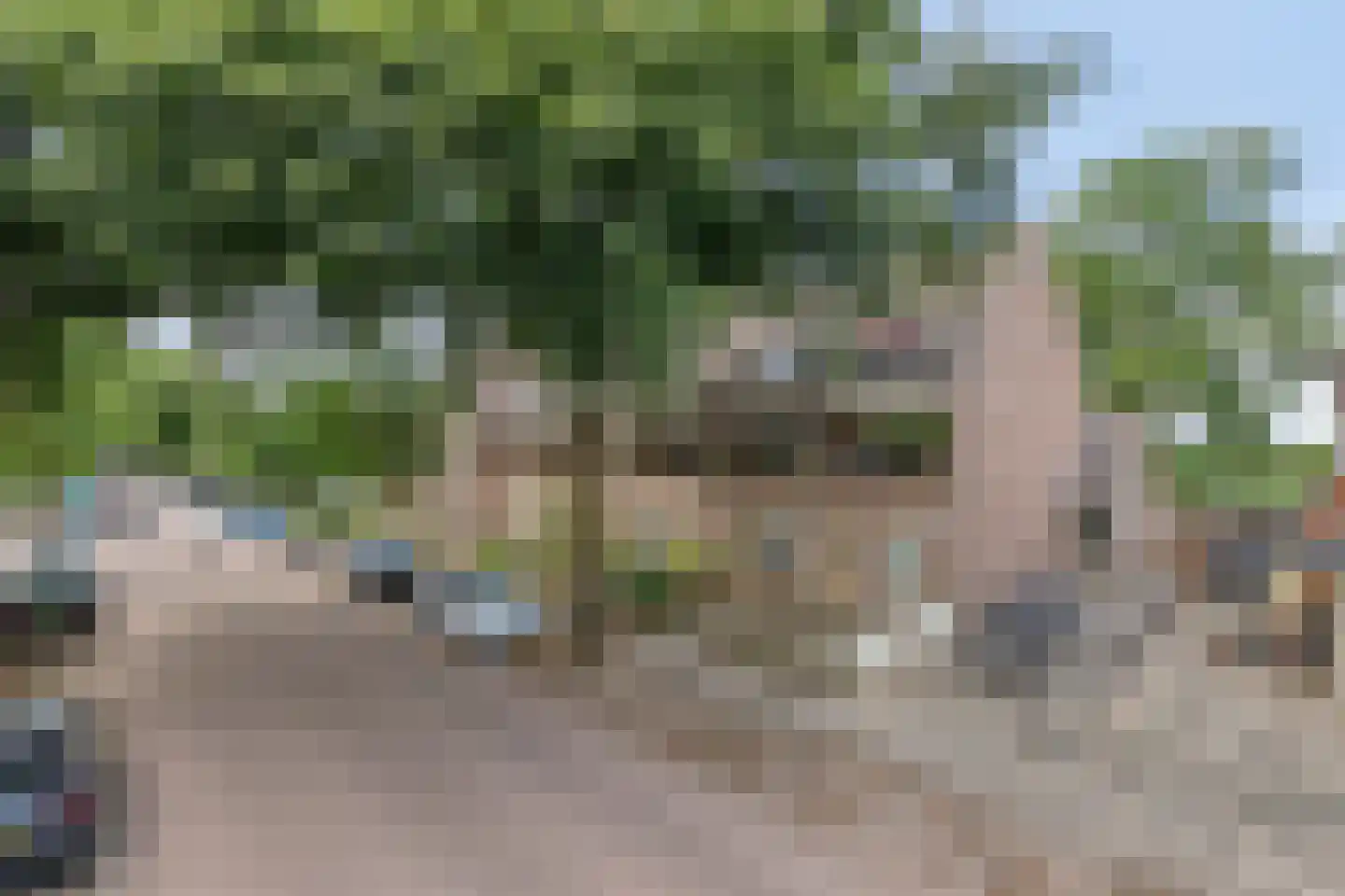 Soesterweg 213 Amersfoort thumbnail 25