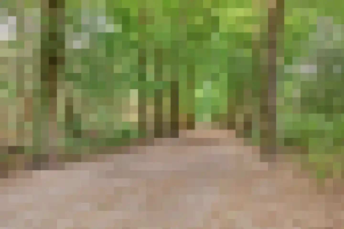 Soesterweg 213 Amersfoort thumbnail 32