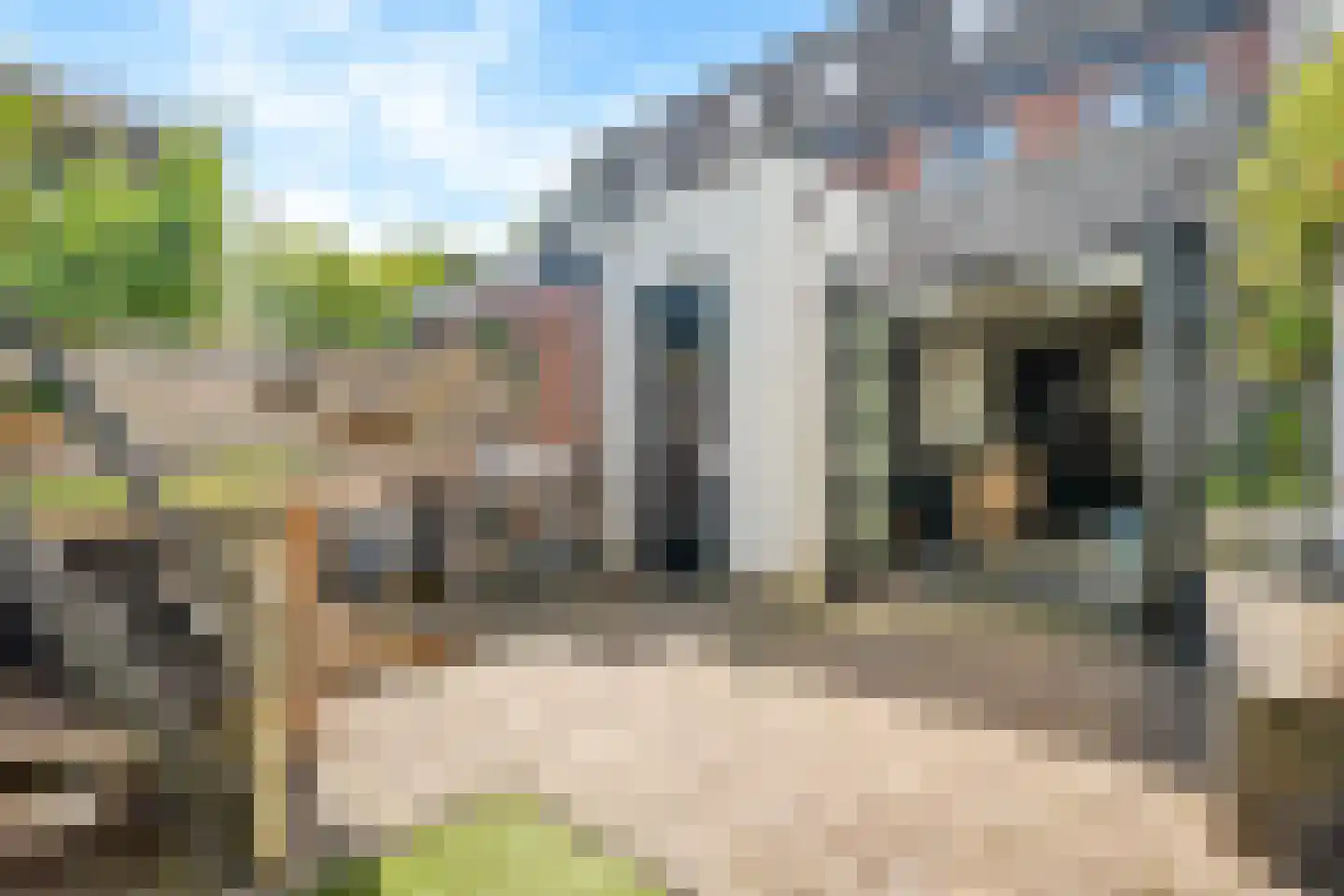 Soesterweg 49 Amersfoort thumbnail 33