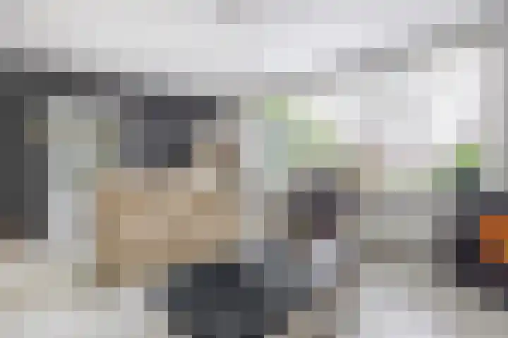Soetan Sjahrirweg 12 Muntendam thumbnail 12