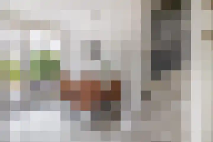 Soetan Sjahrirweg 12 Muntendam thumbnail 15