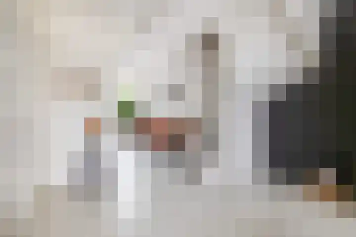 Soetan Sjahrirweg 12 Muntendam thumbnail 17