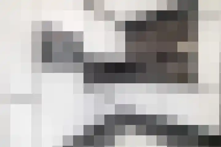 Soetan Sjahrirweg 12 Muntendam thumbnail 18