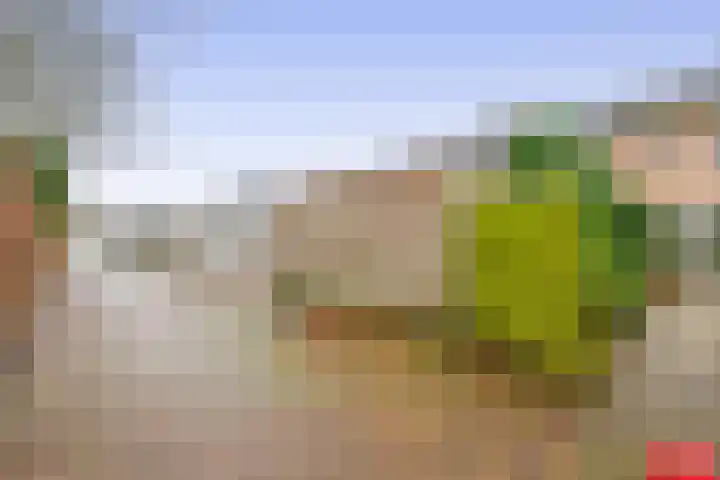 Soetan Sjahrirweg 12 Muntendam thumbnail 42