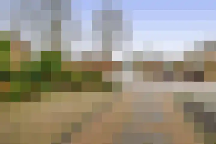 Soetan Sjahrirweg 12 Muntendam thumbnail 44