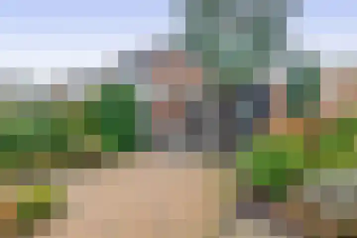 Soetan Sjahrirweg 12 Muntendam thumbnail 5