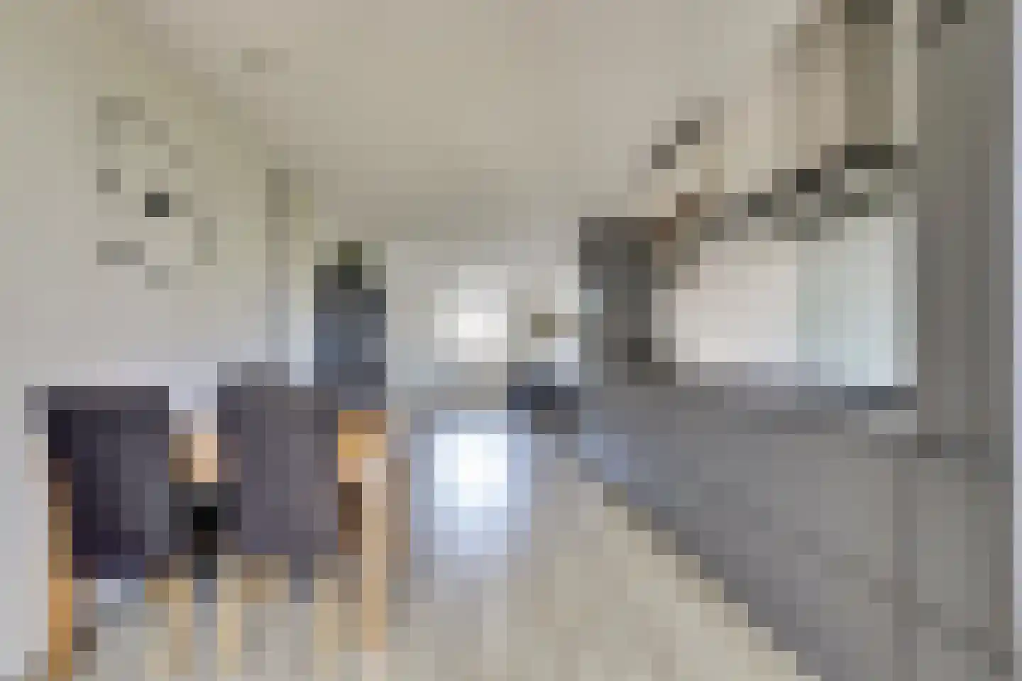 Soetelaer 20 Kortgene thumbnail 12