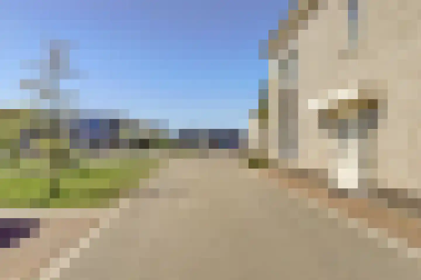 Soetelaer 20 Kortgene thumbnail 30