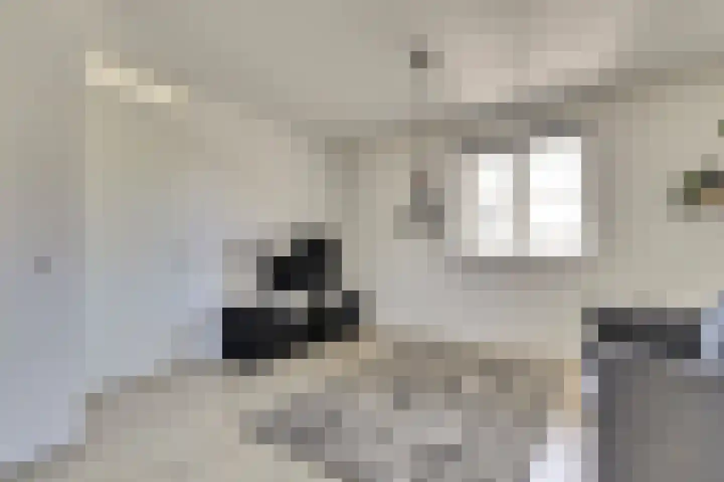 Soetelaer 20 Kortgene thumbnail 7