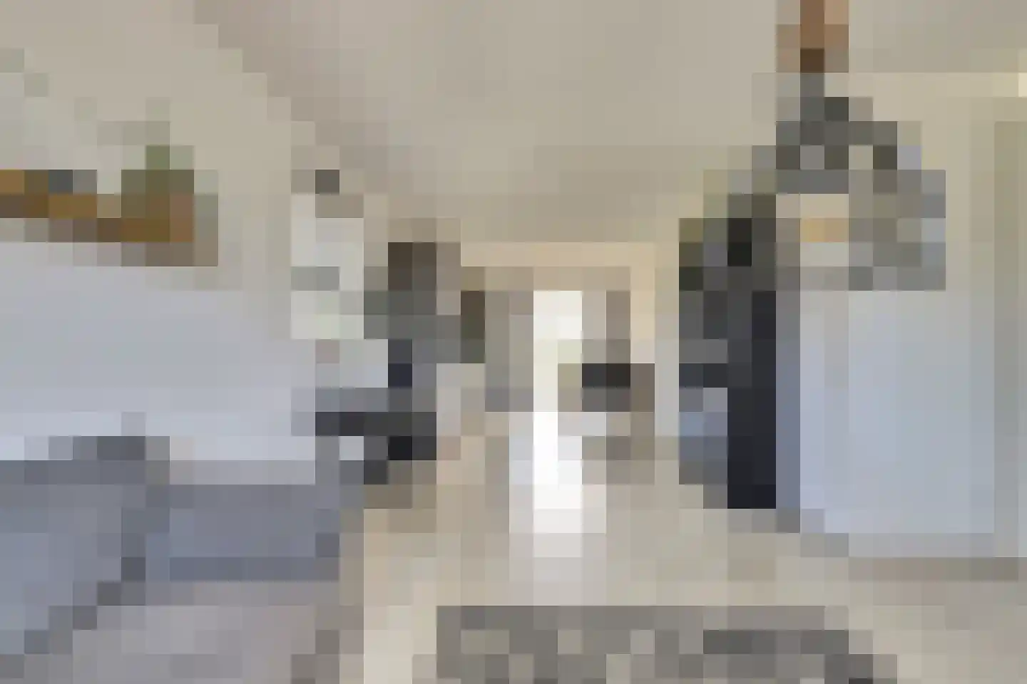 Soetelaer 20 Kortgene thumbnail 8