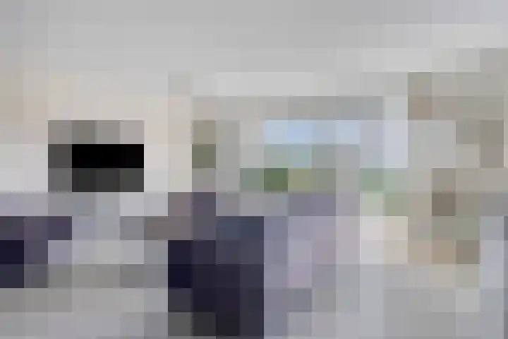 Soetelaer 21 Kortgene thumbnail 12