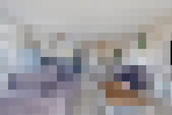Soetelaer 21 Kortgene thumbnail 13