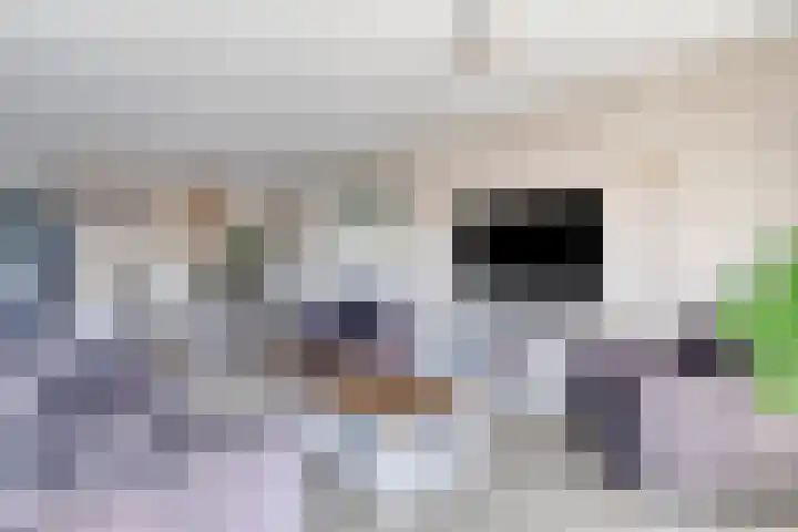 Soetelaer 21 Kortgene thumbnail 14