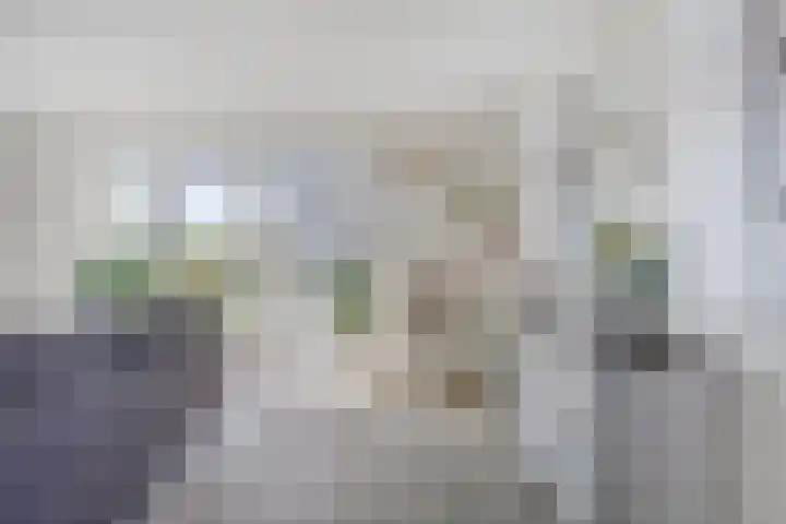 Soetelaer 21 Kortgene thumbnail 15